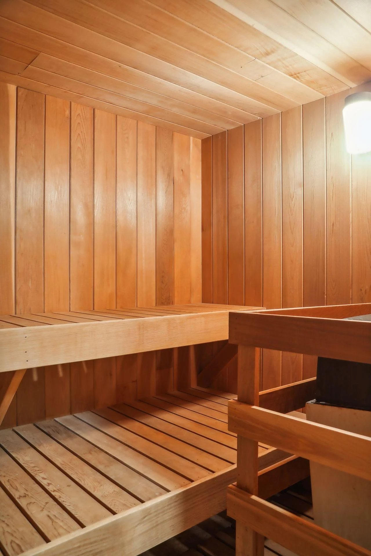 Lower Level Sauna