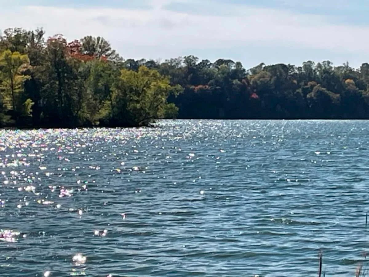 44 Winterhaven Block Lake water.jpg