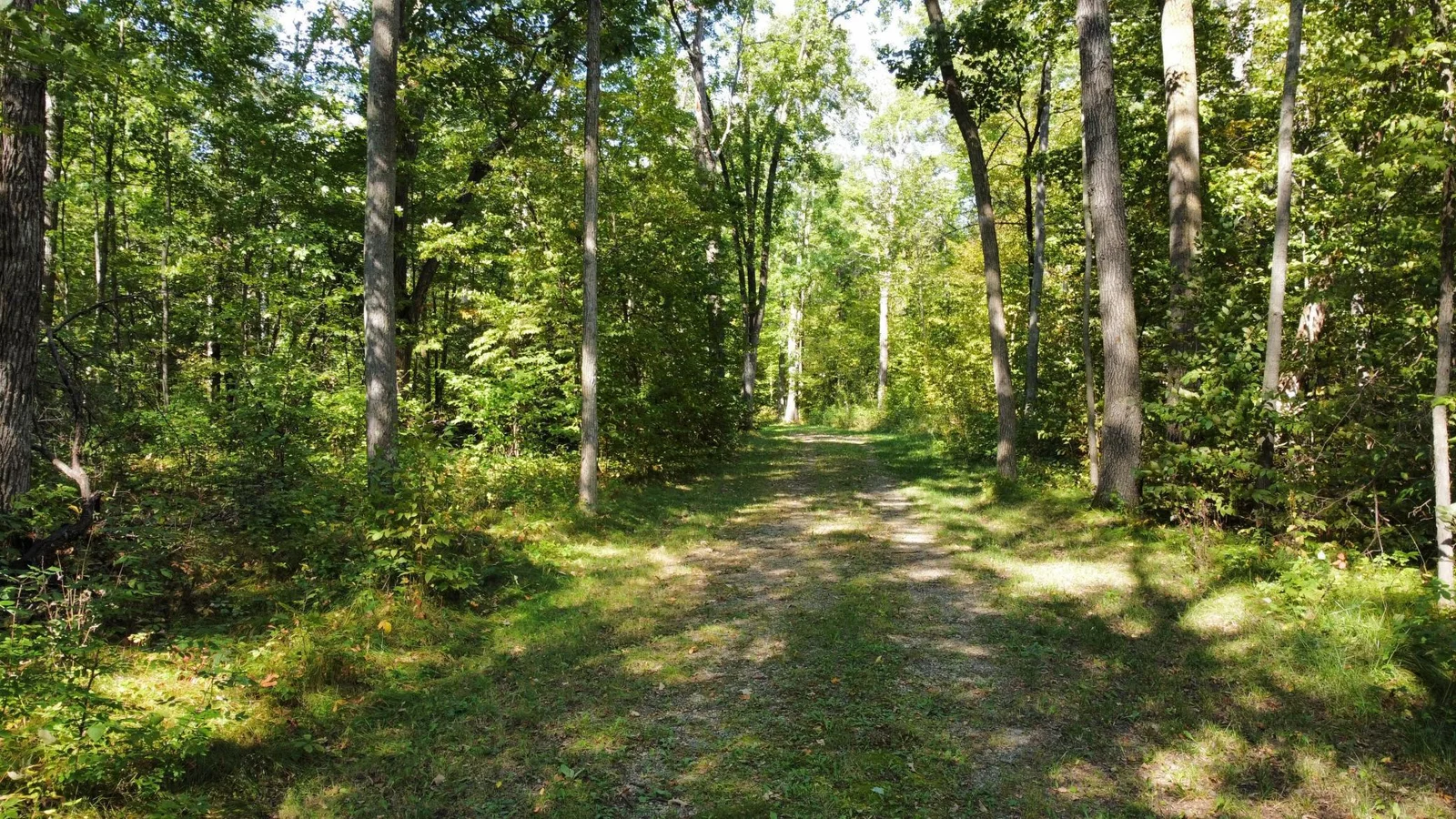 Thumbnail photo 58