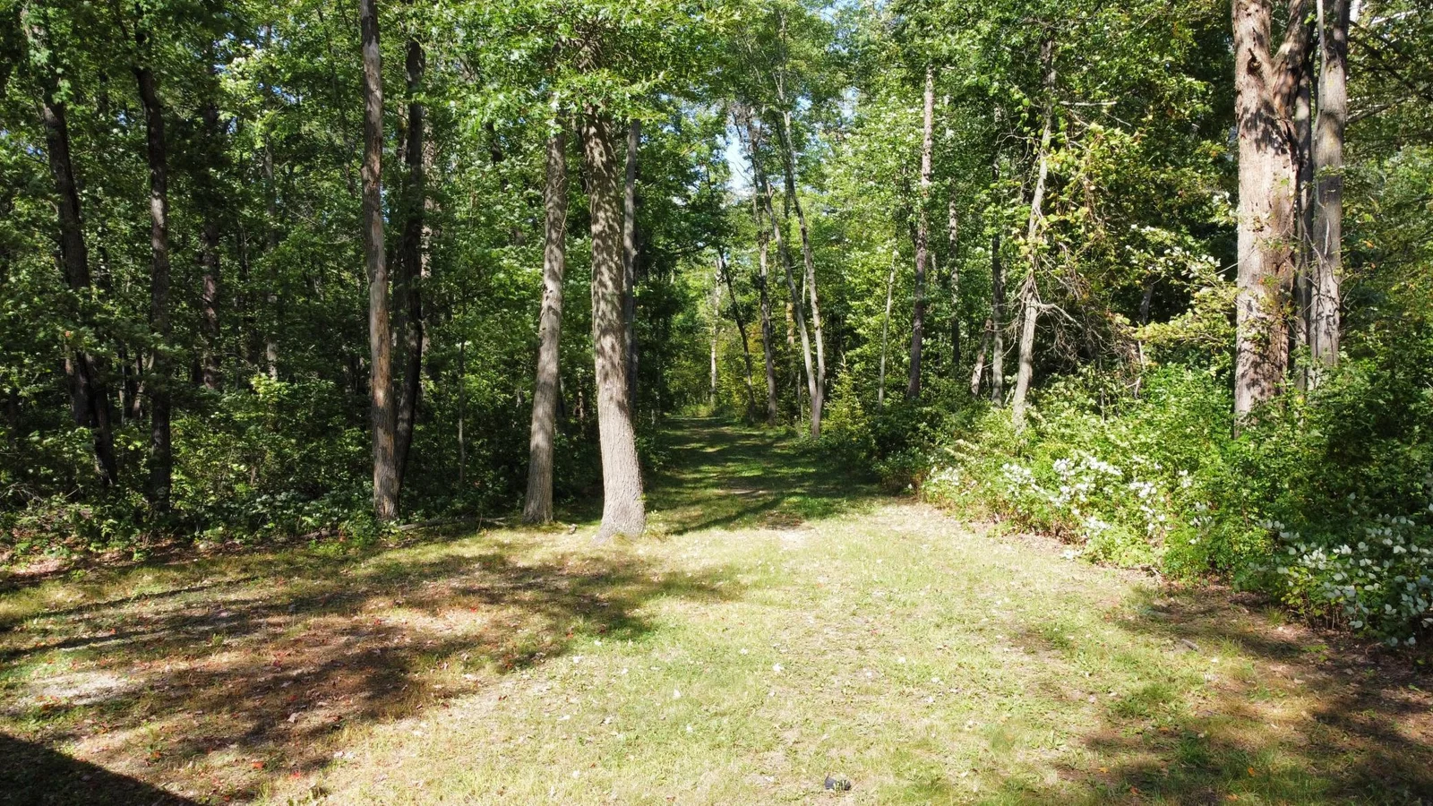 Thumbnail photo 28