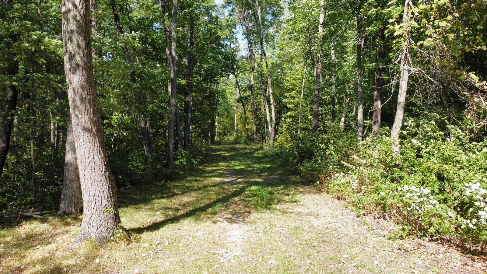 Thumbnail photo 59