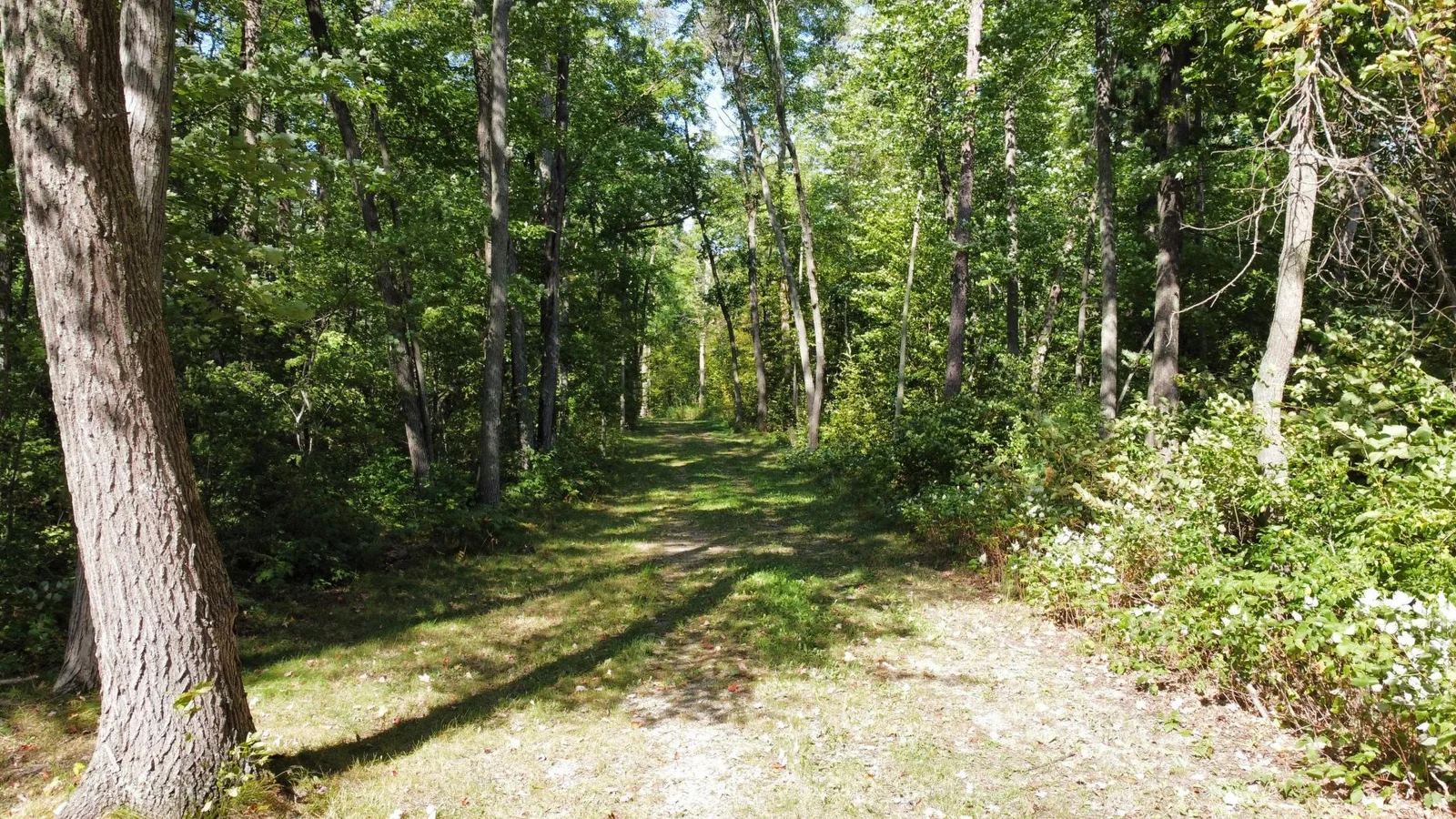 Thumbnail photo 57