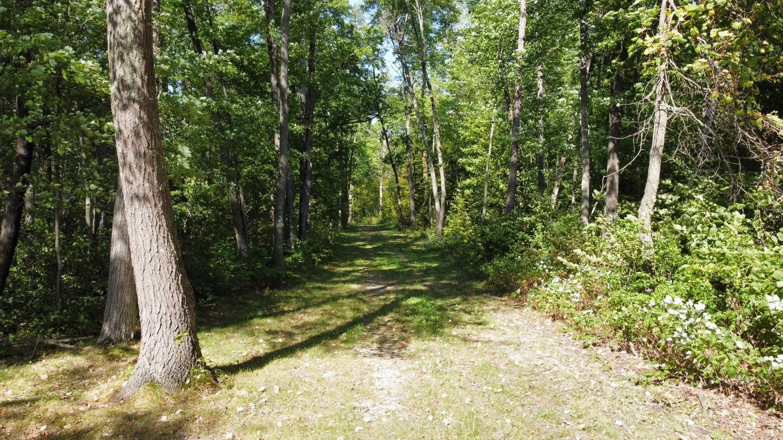 Thumbnail photo 27