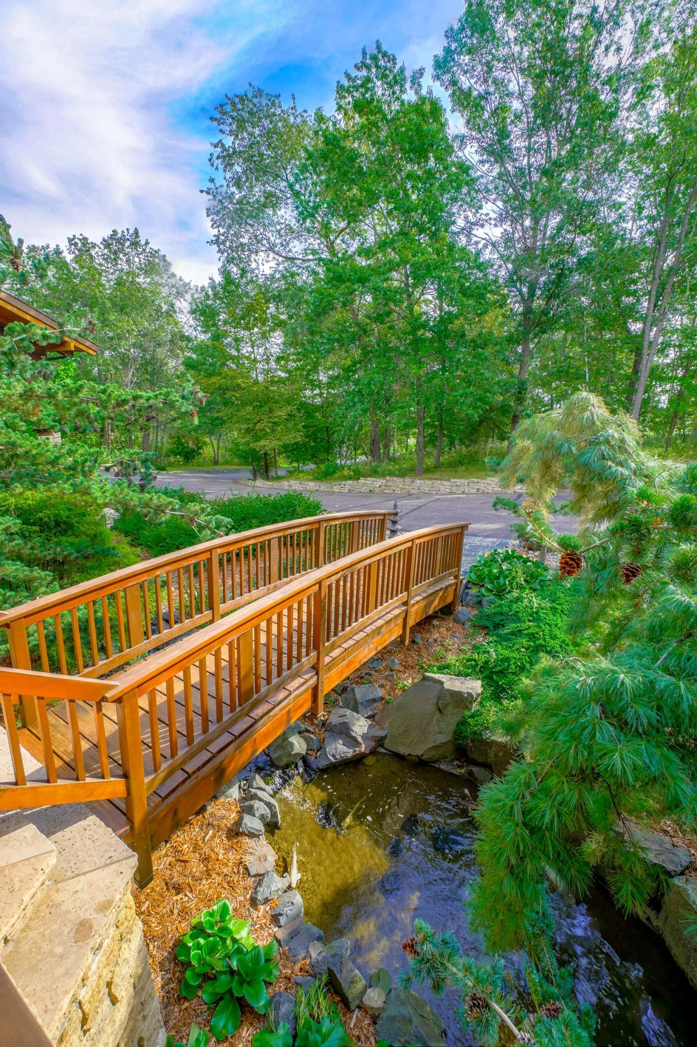Front bridge over KOI pond
