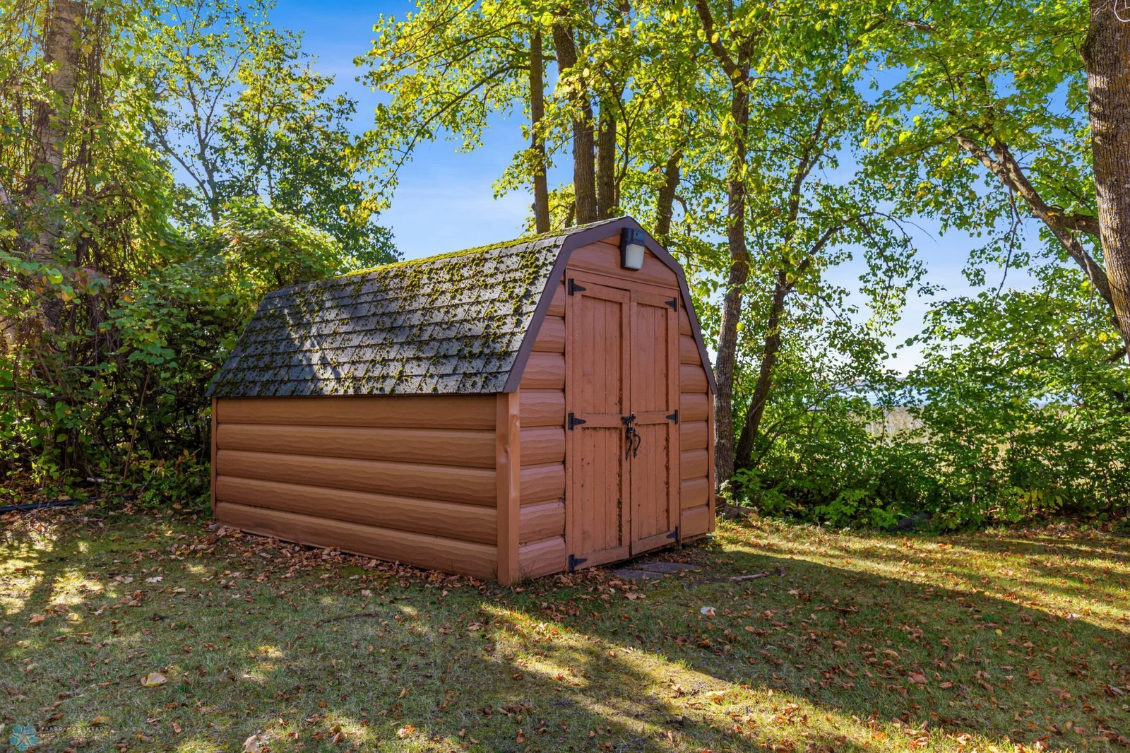 Shed by Shoreline