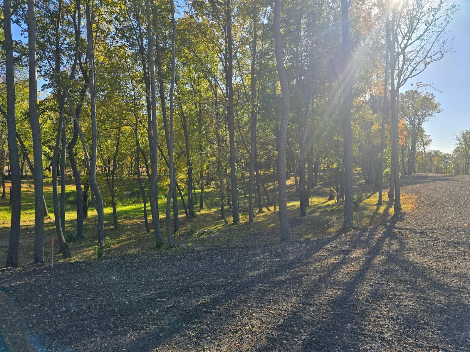 20241008_154811.jpg