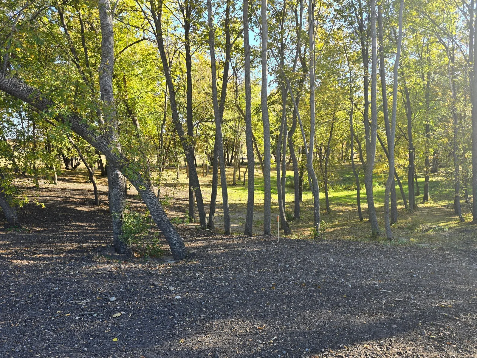 20241008_154803.jpg