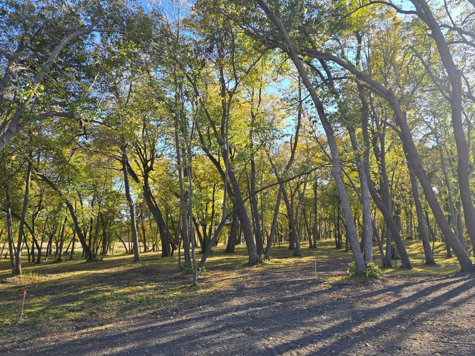 20241008_154936.jpg