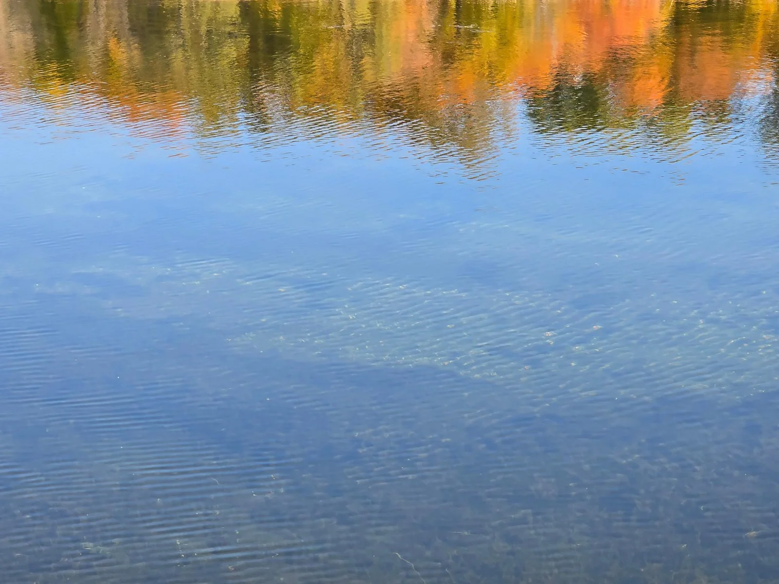 20241008_160526.jpg