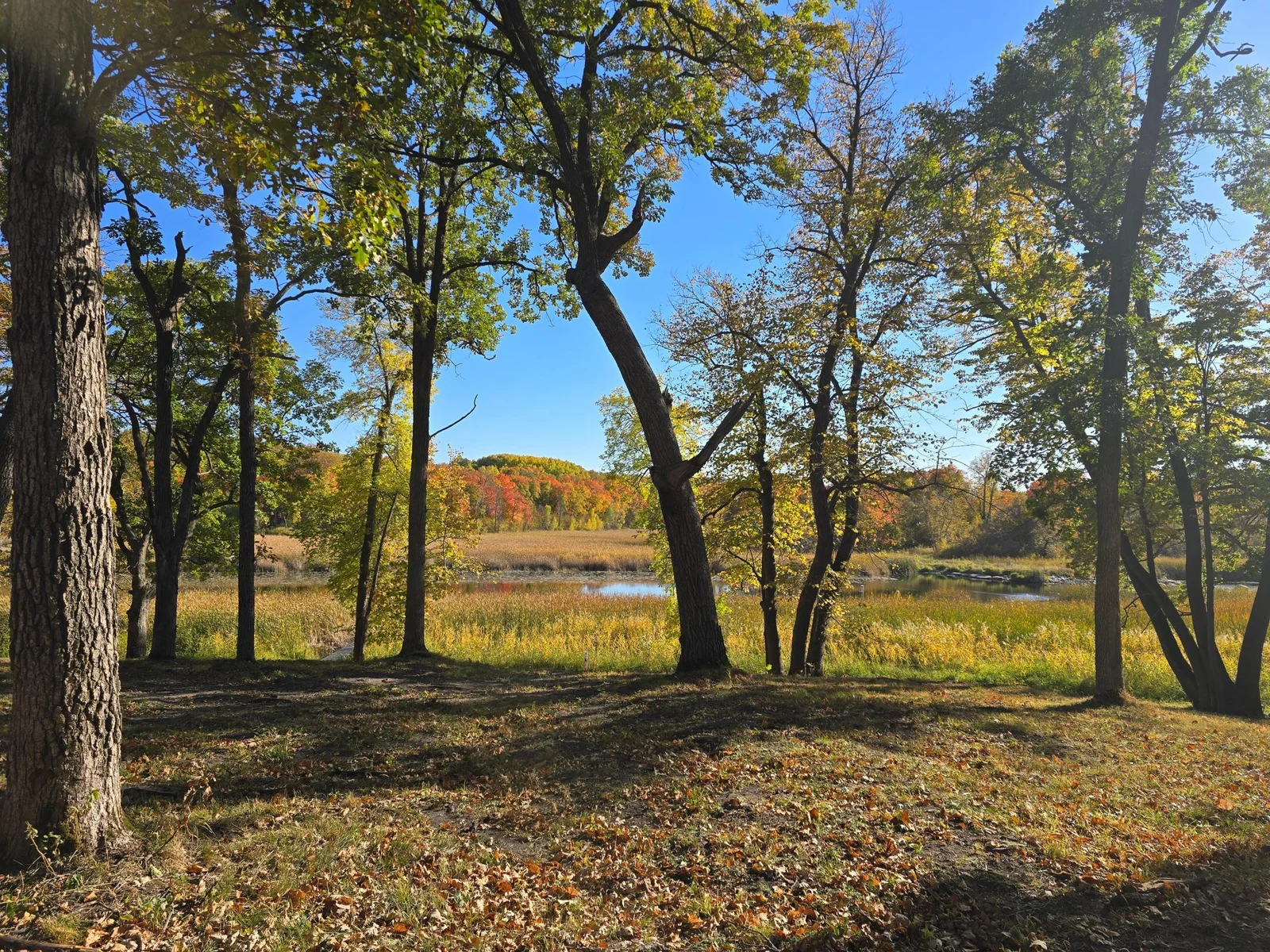 20241008_160333.jpg