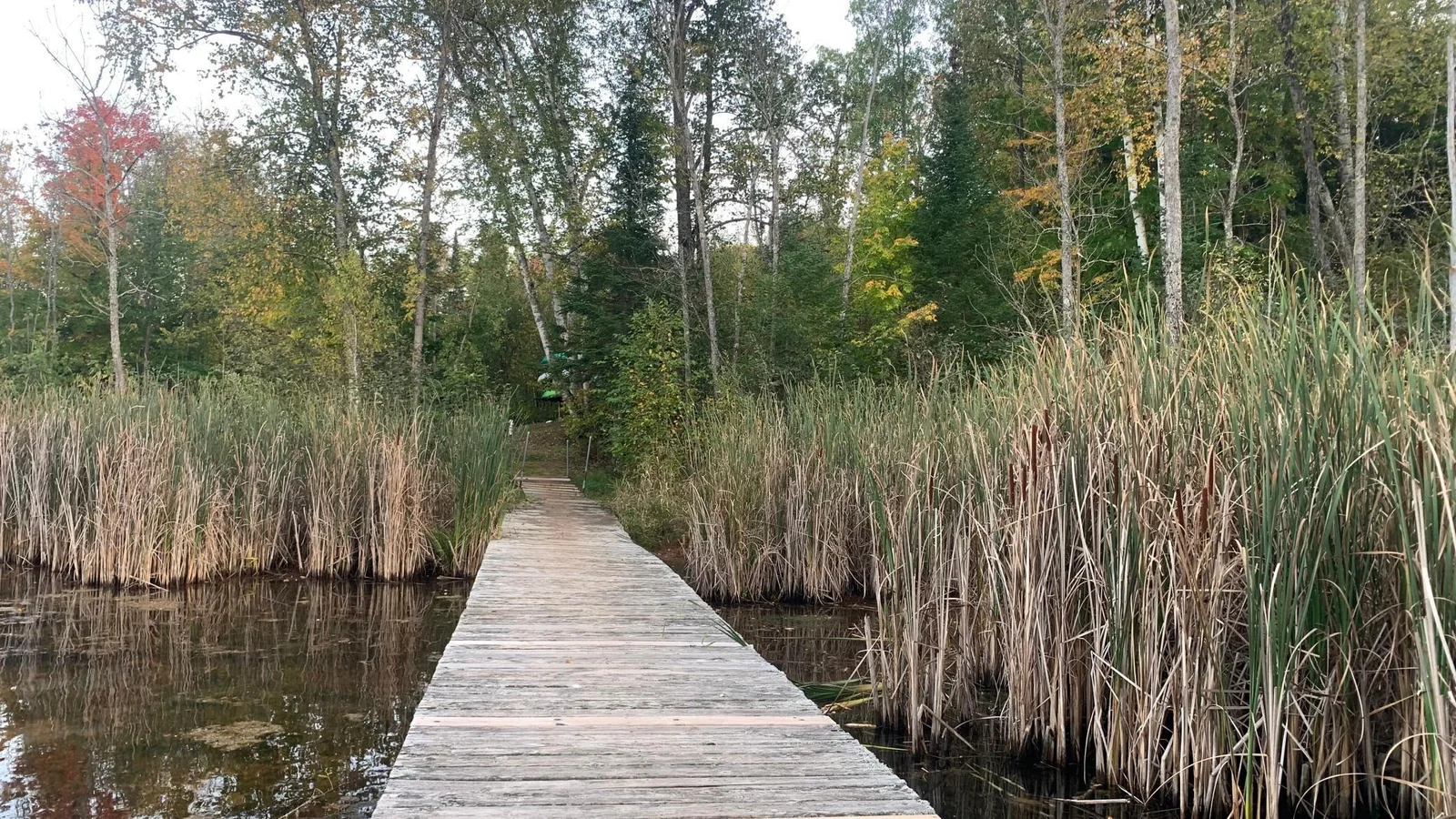 Dock