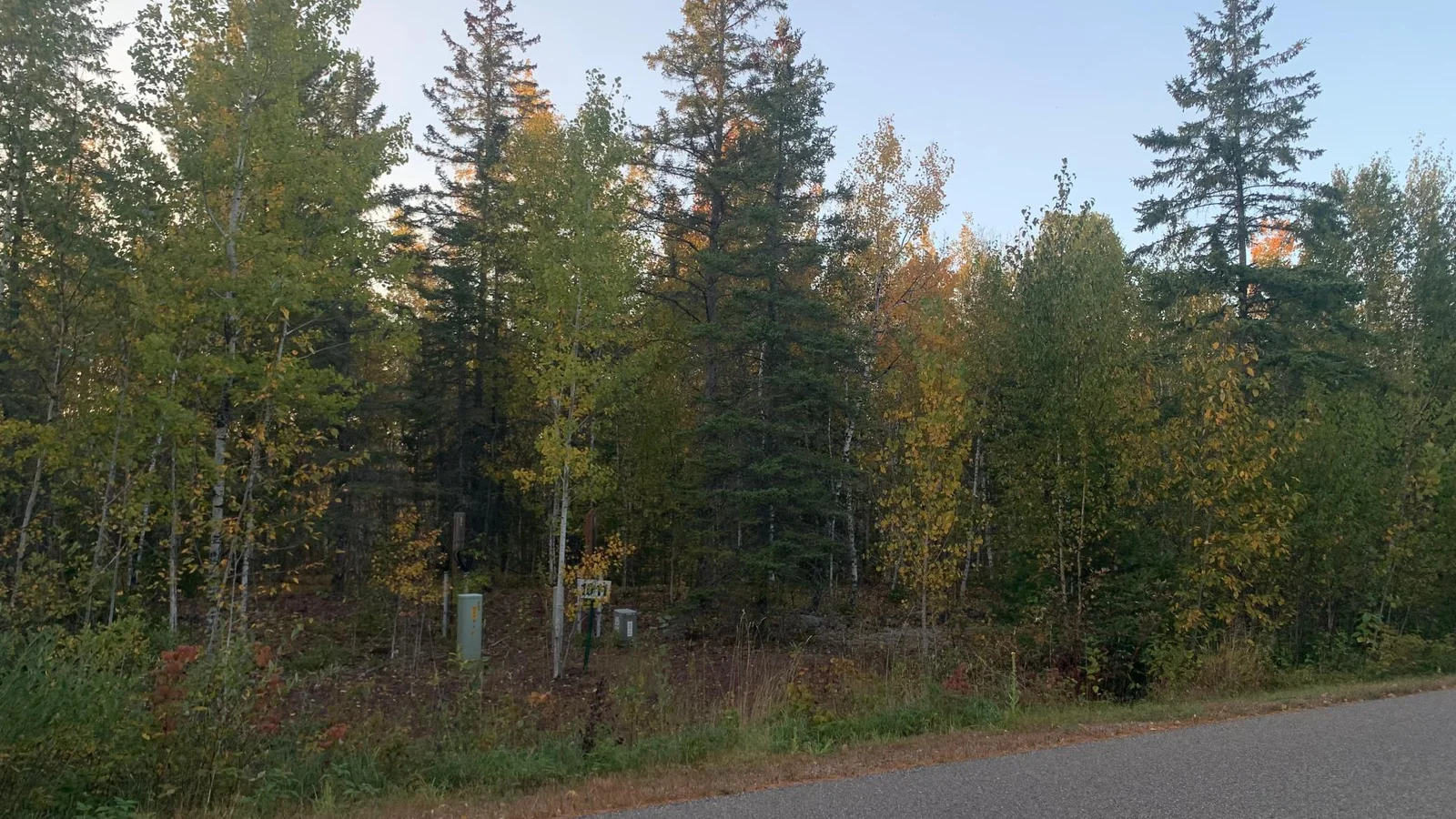View of Land from Road