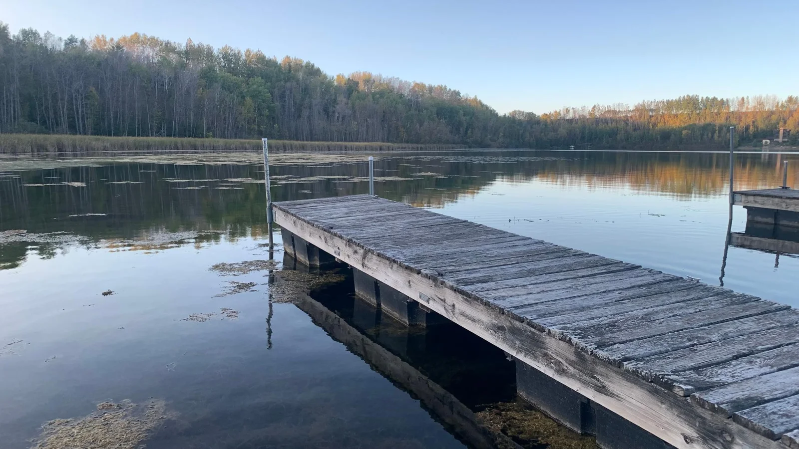 Dock