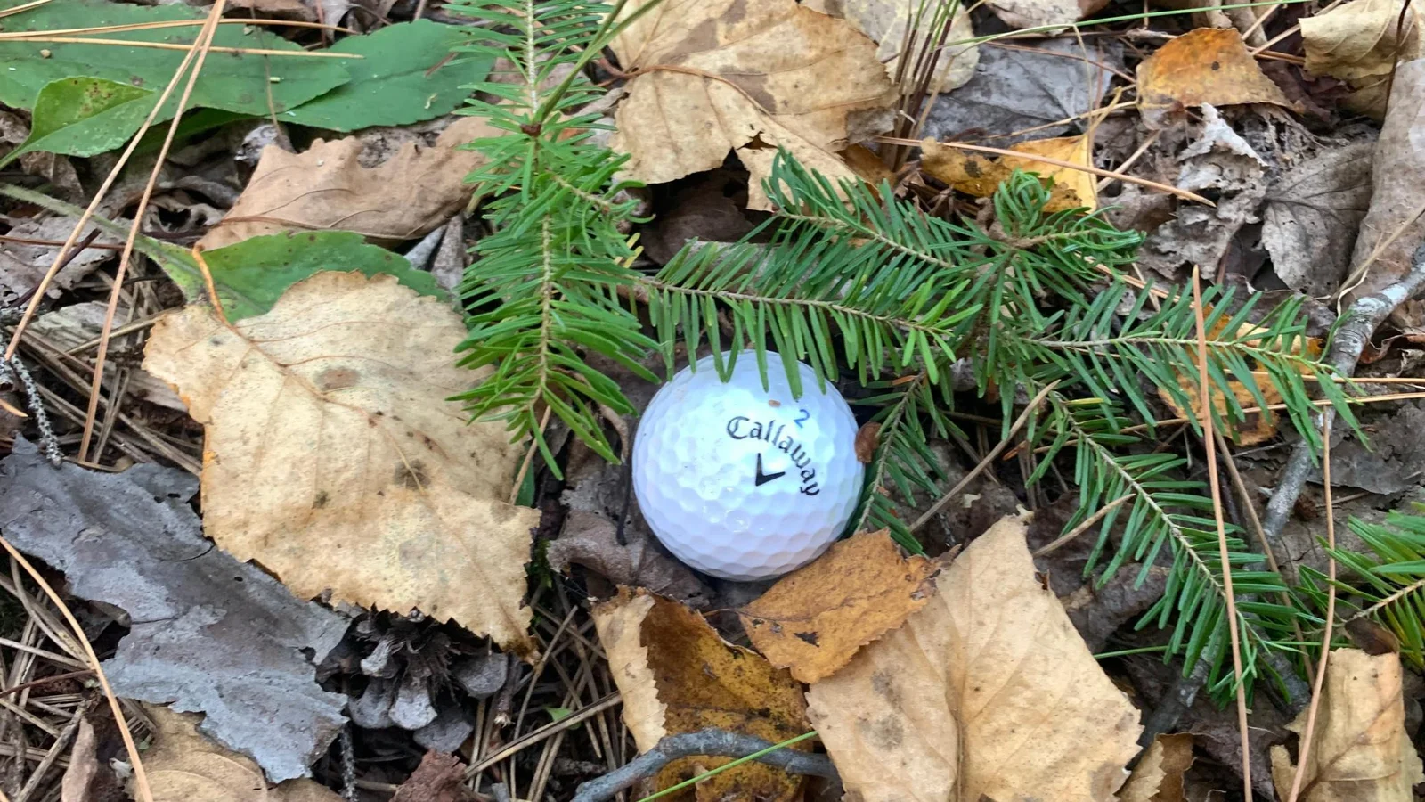 Golf Ball Bonus