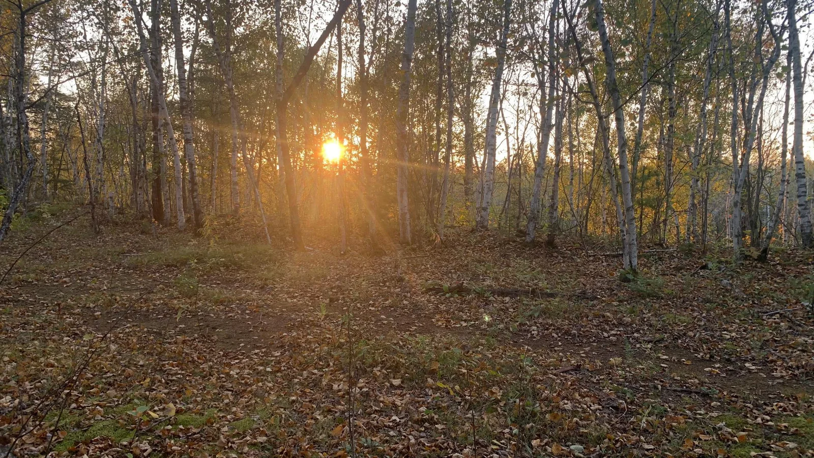 Property Sunset View