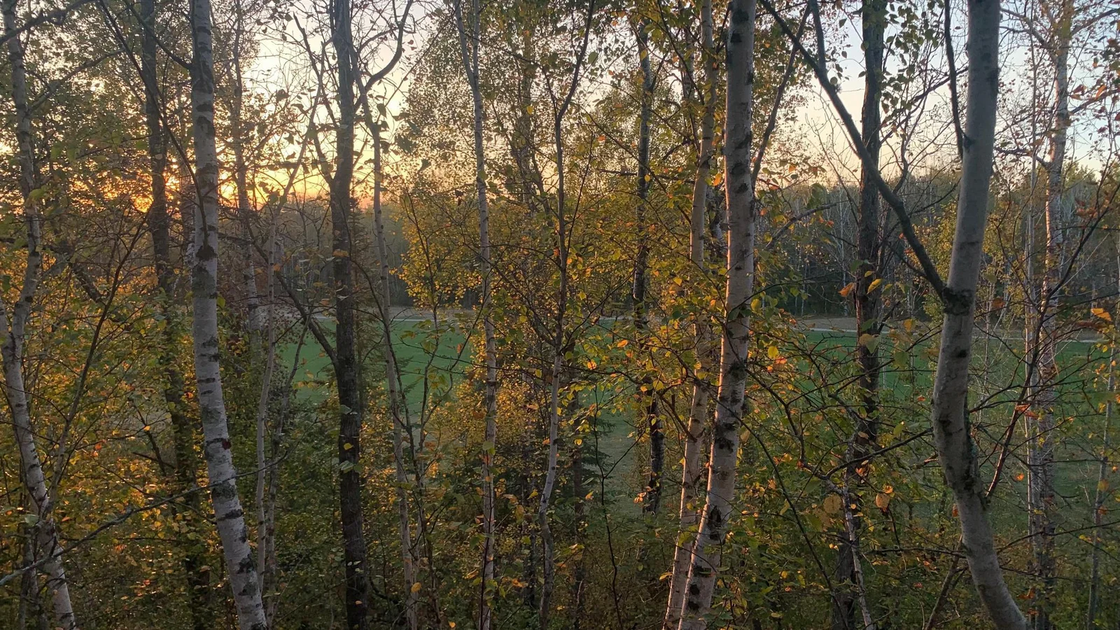 Hole 2