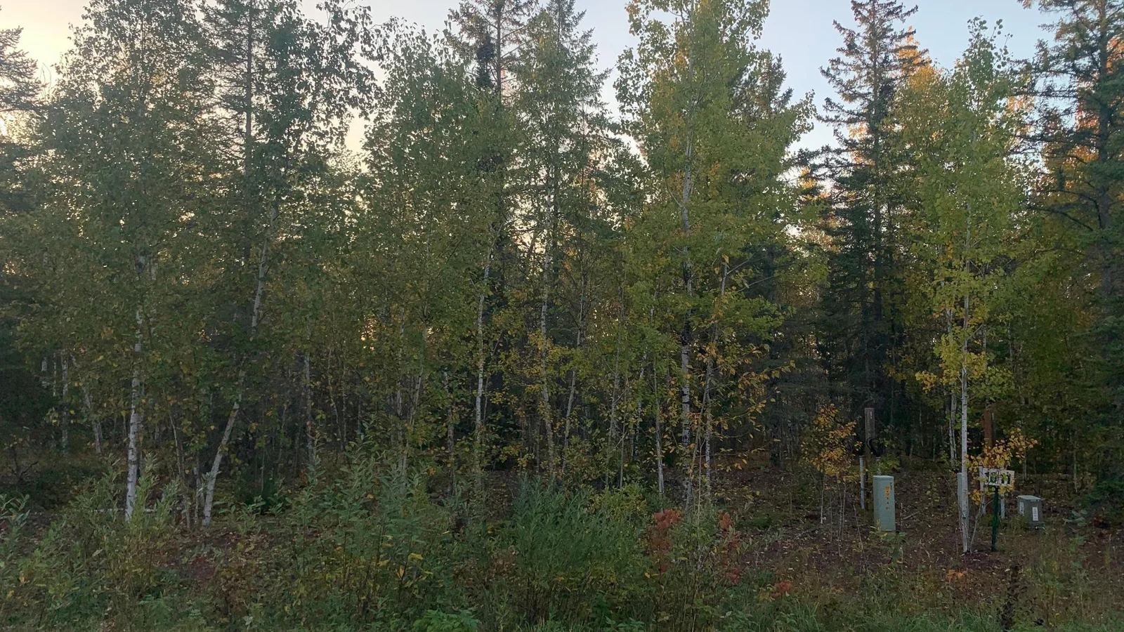 View of Property from Road