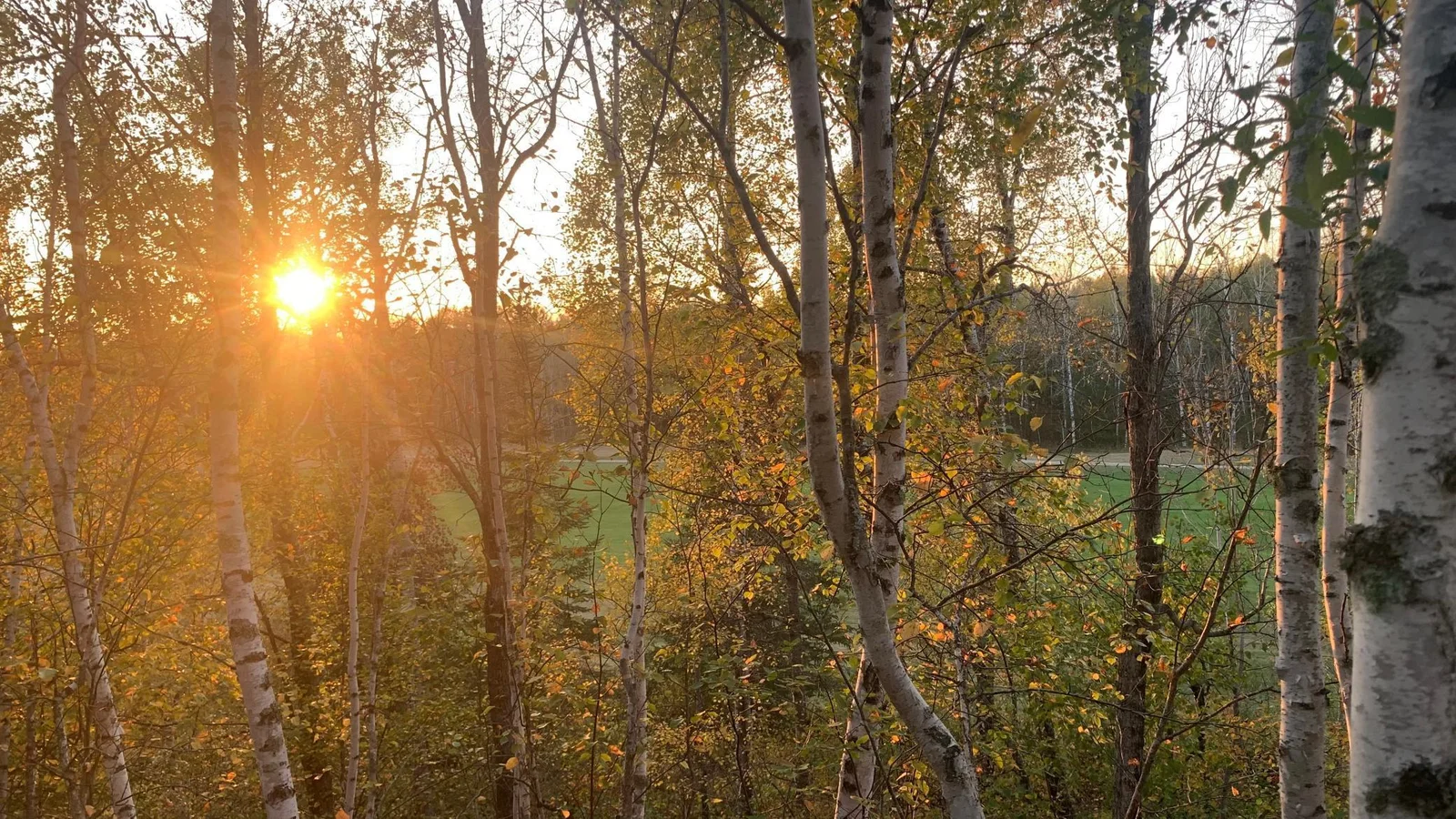 Golf Course Sunset View