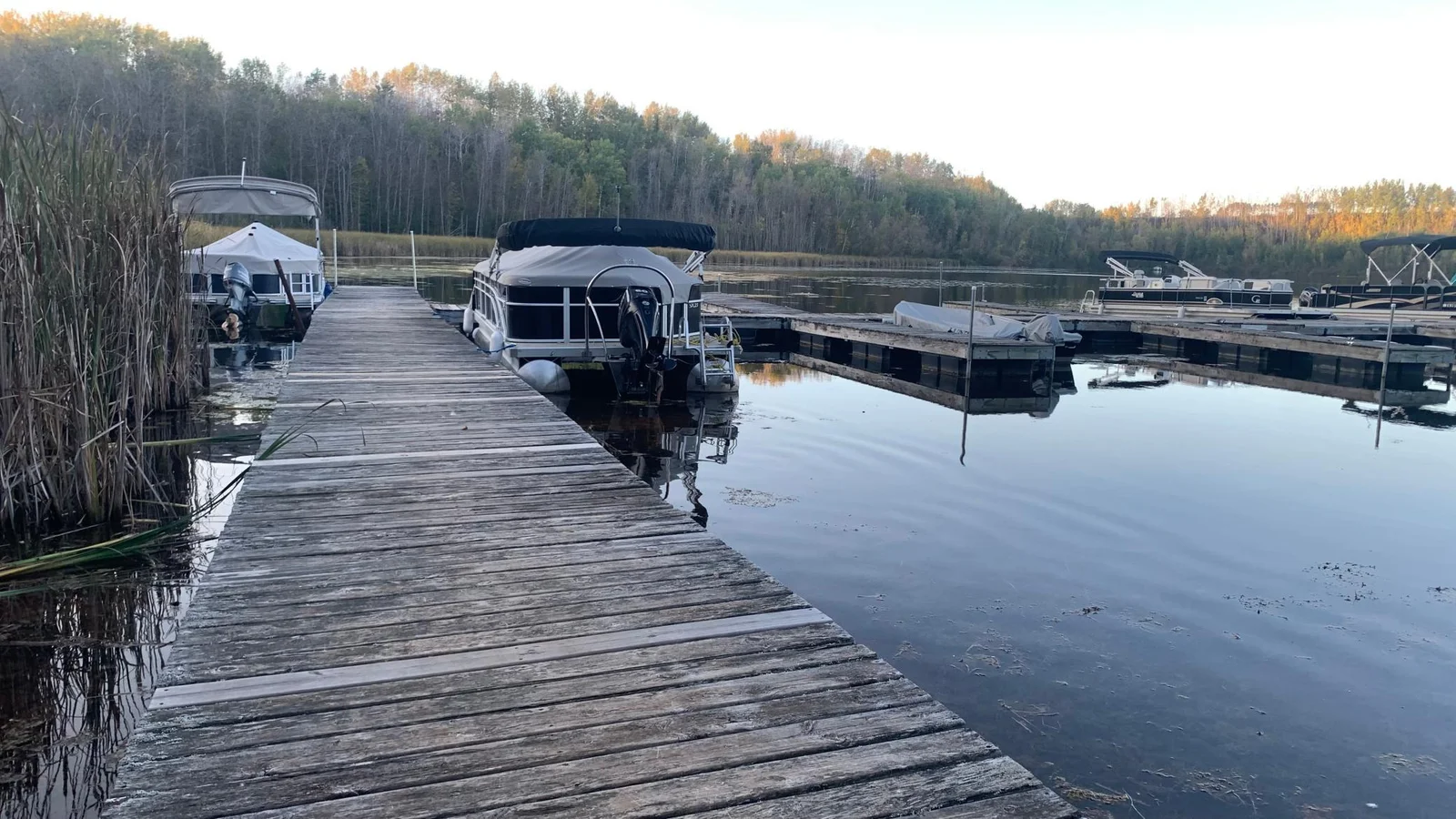 Dock