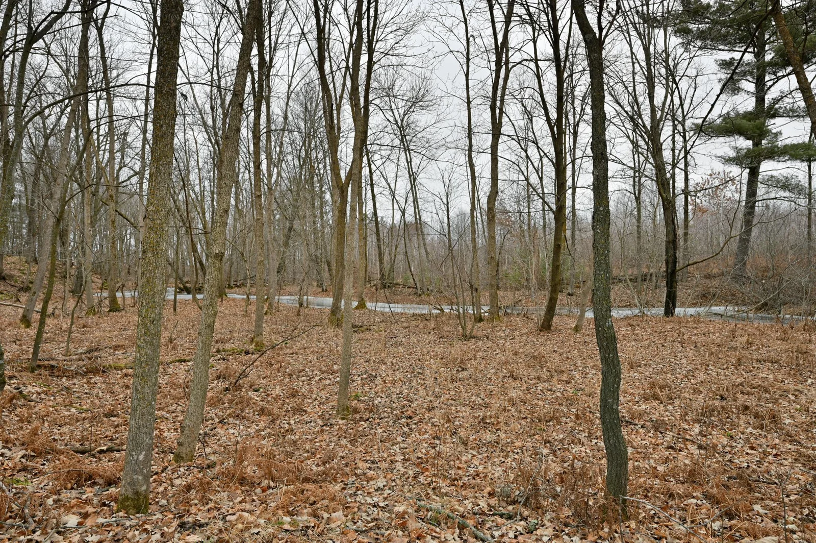 Majestic Woods for all your nature walks