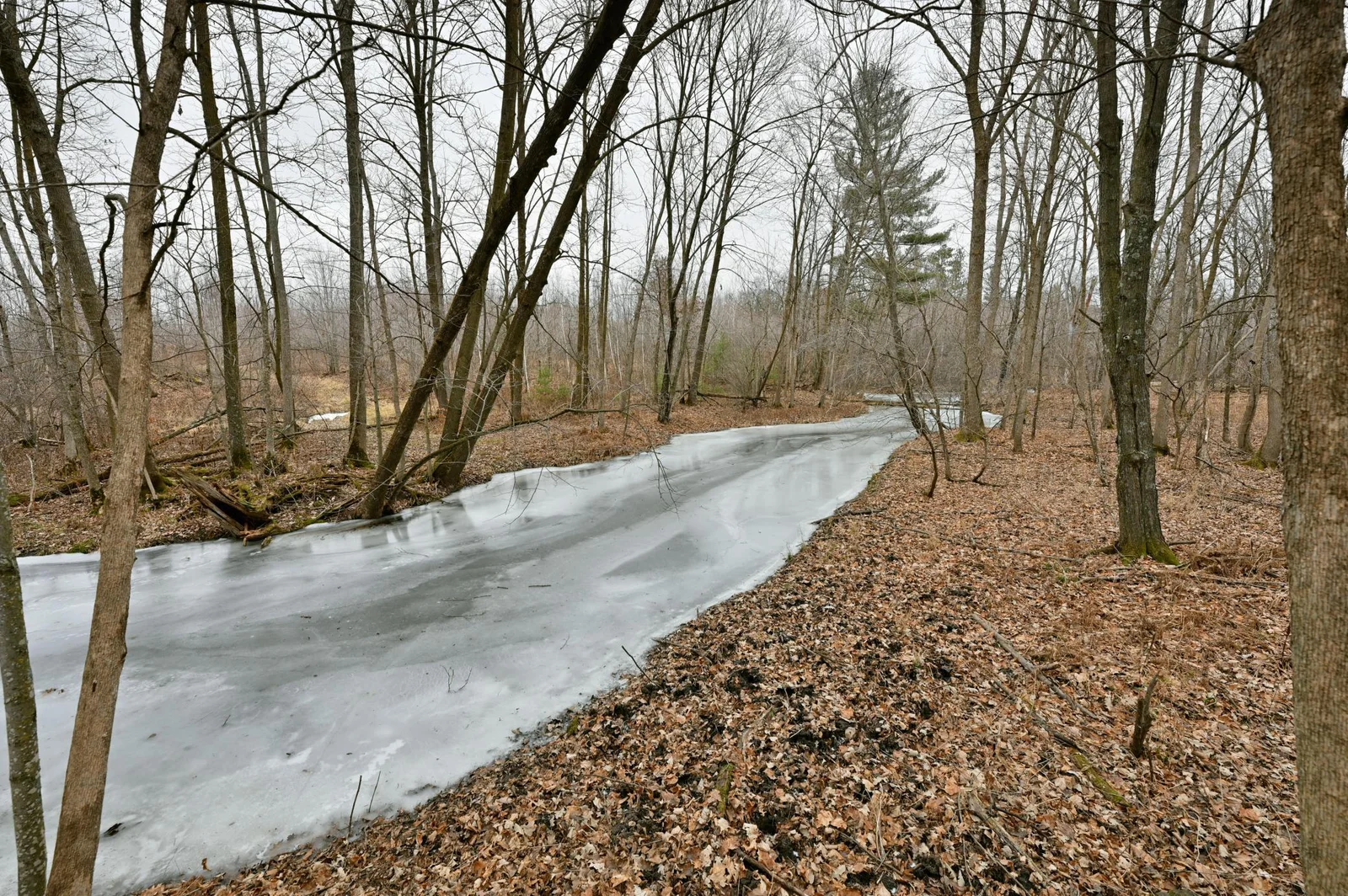 Bashaw Creek