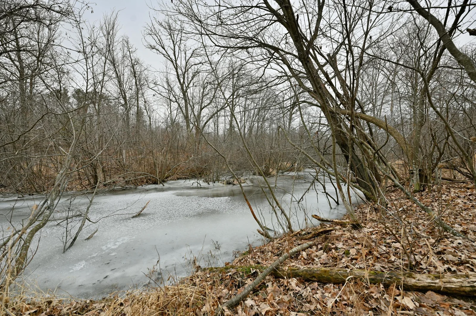 Stroll along your creek skipping rocks