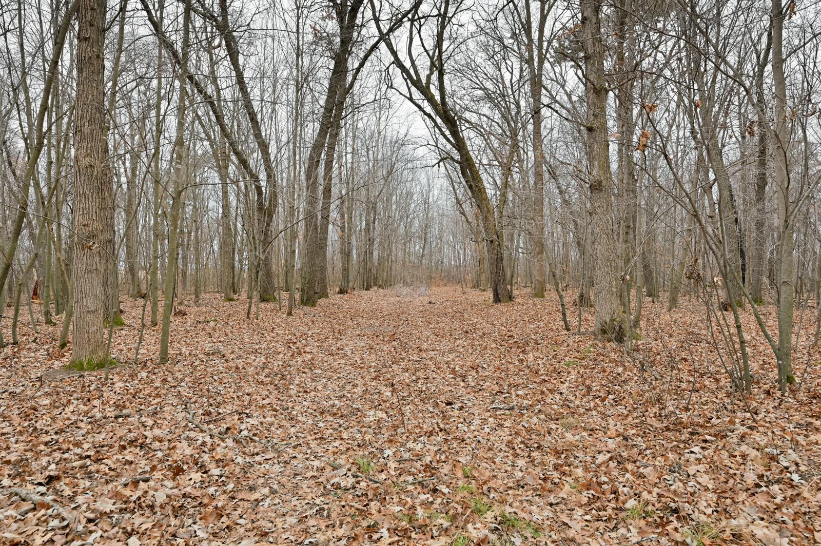 Rustic Backyard trails perfect for hunting or hiking