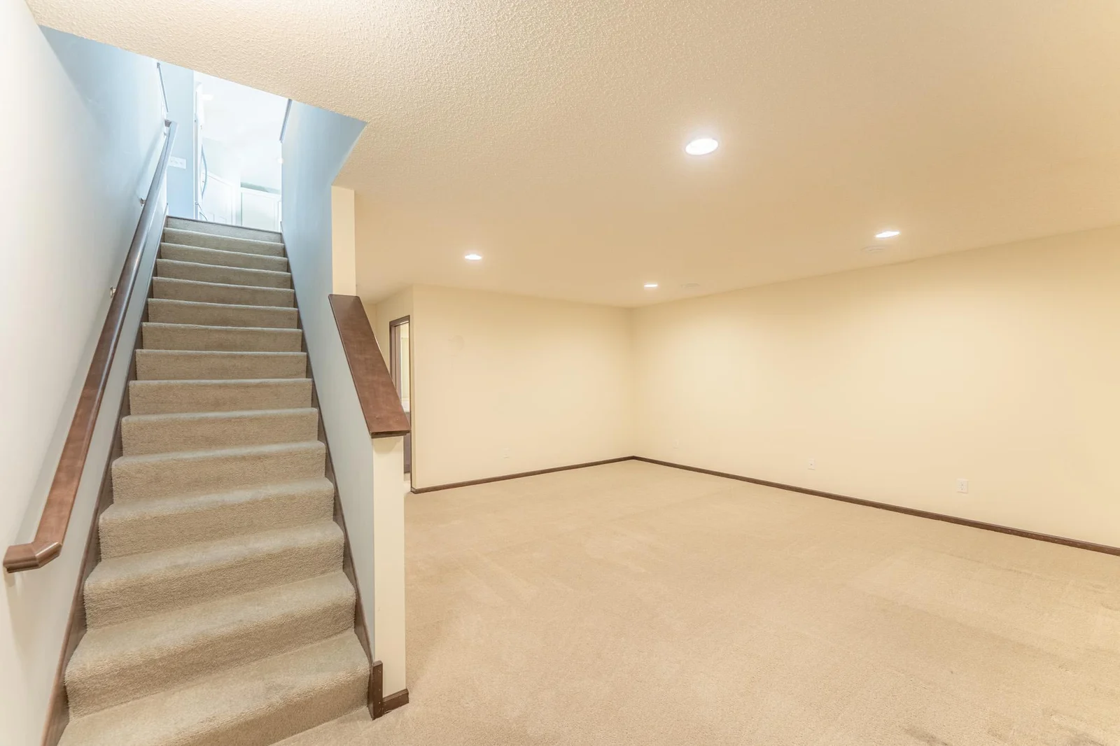 Large finished lower-level.
