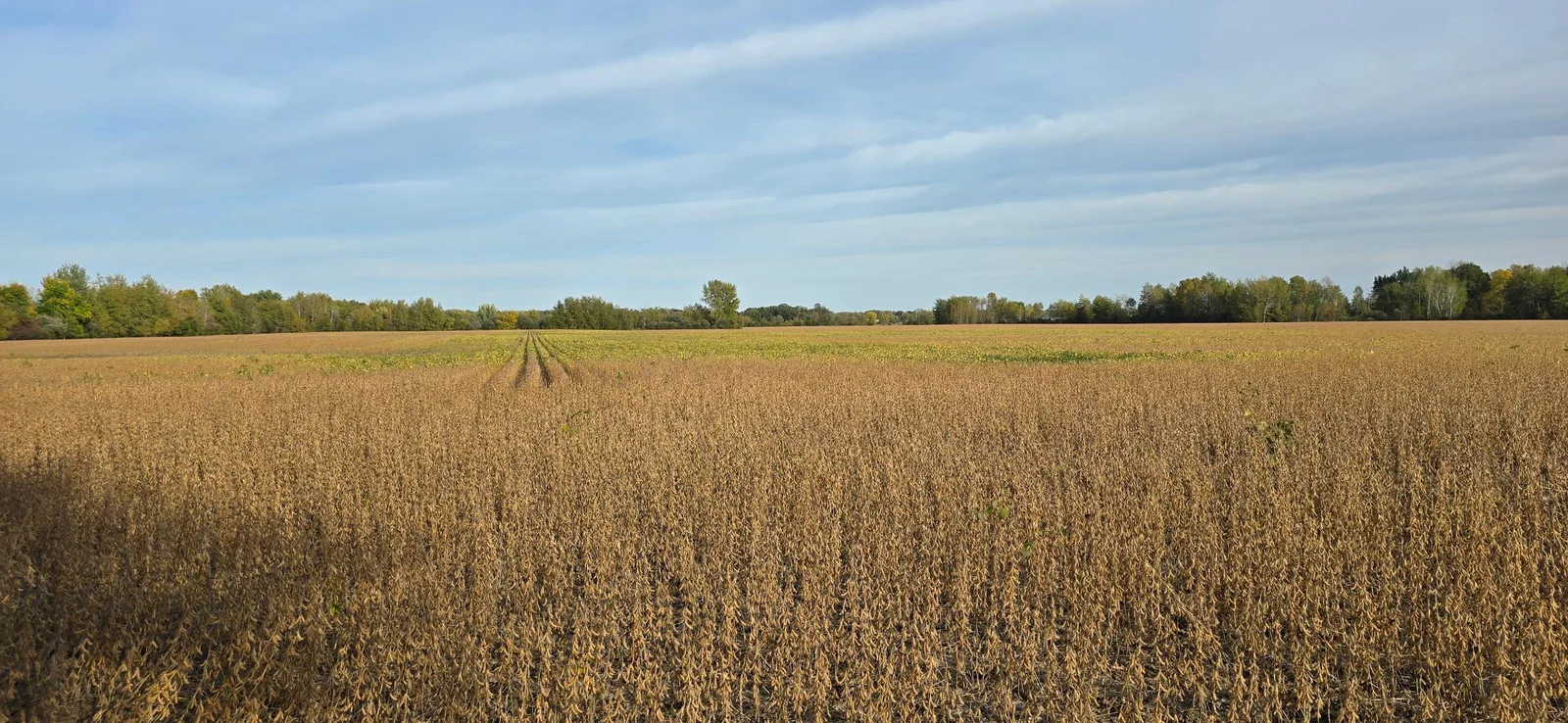 70 Acres of flat, pure land!