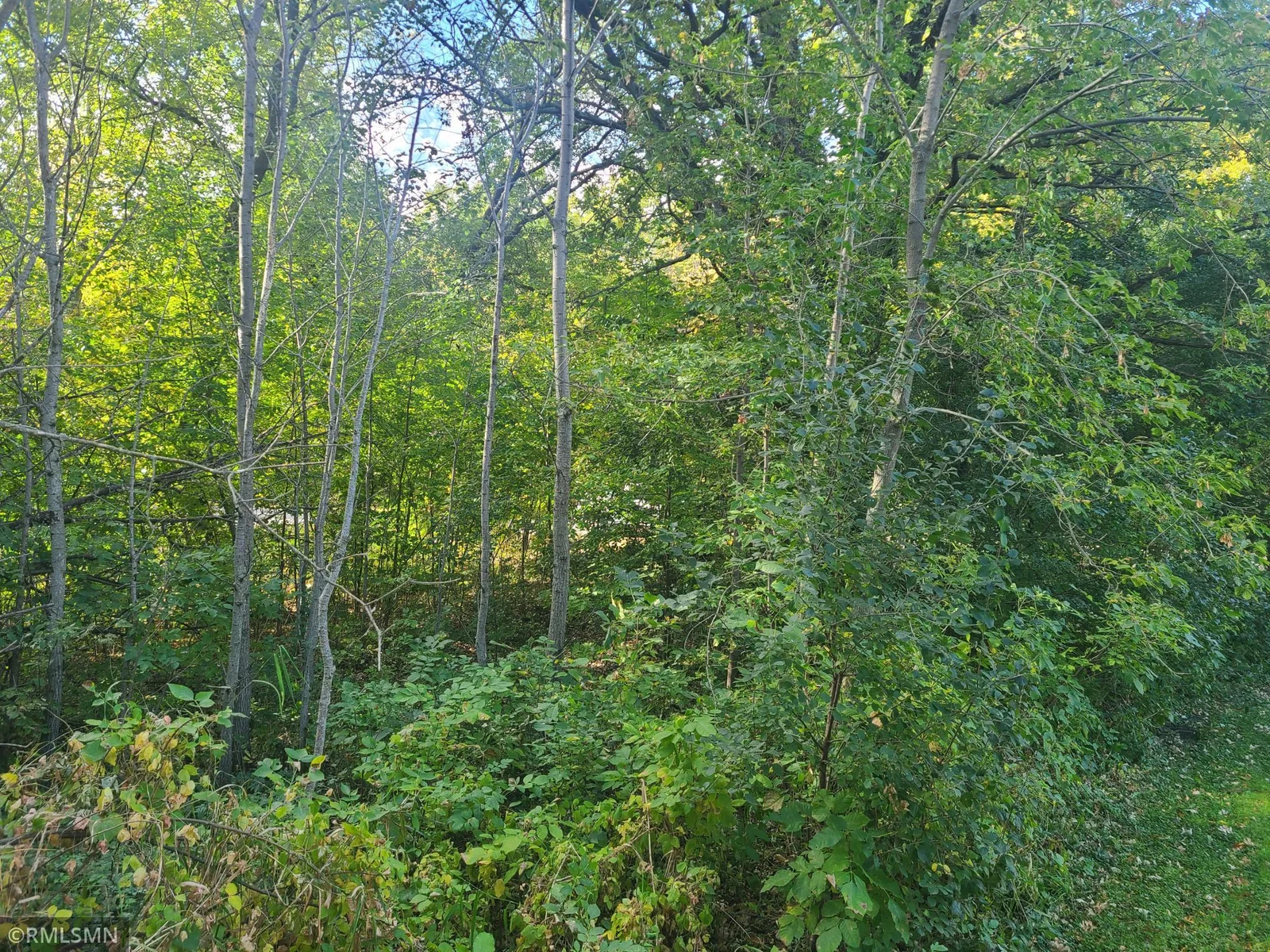 Photo is of the interior of the lot as you a building pad will need to be cleared but will try to keep as many trees as builder can.
