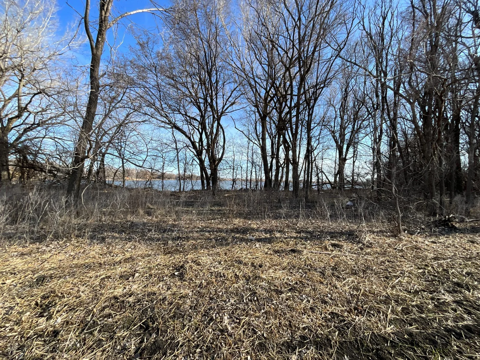 IMG_0407.jpeg