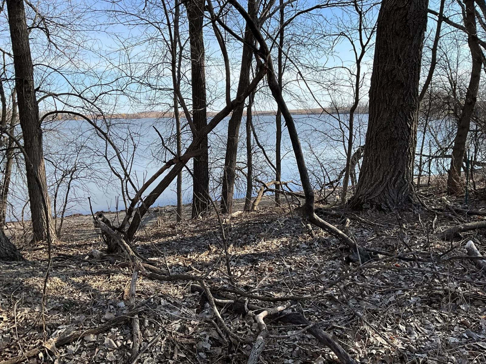 IMG_0402.jpeg