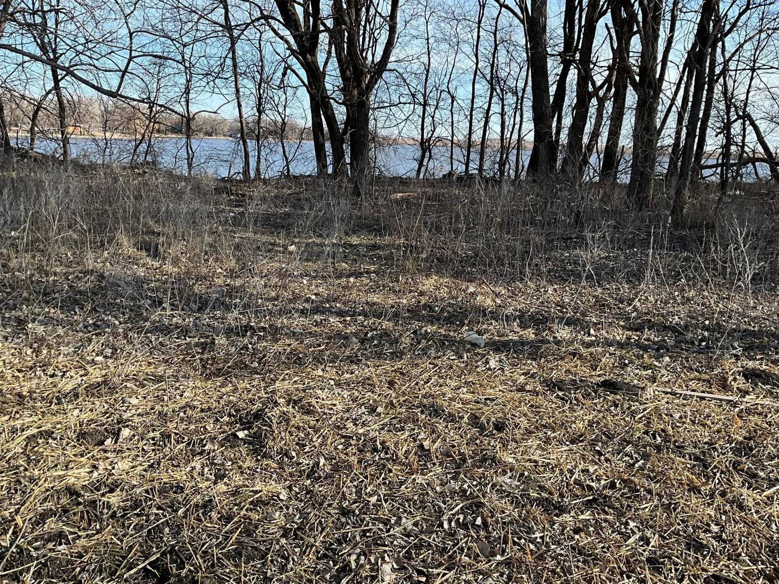 IMG_0404.jpeg