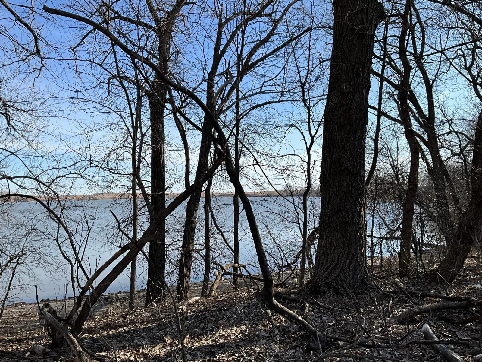 IMG_0403.jpeg