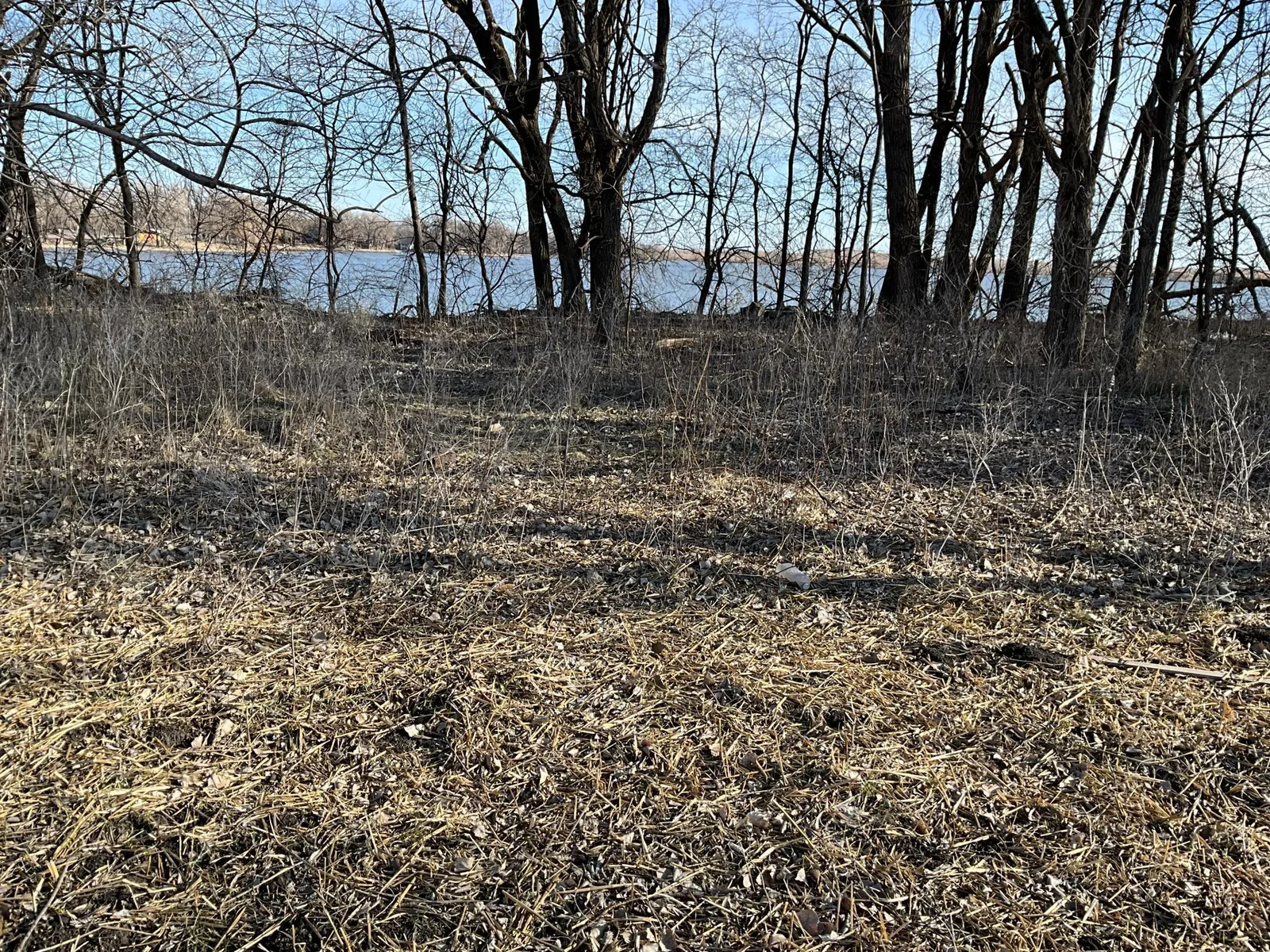 IMG_0405.jpeg