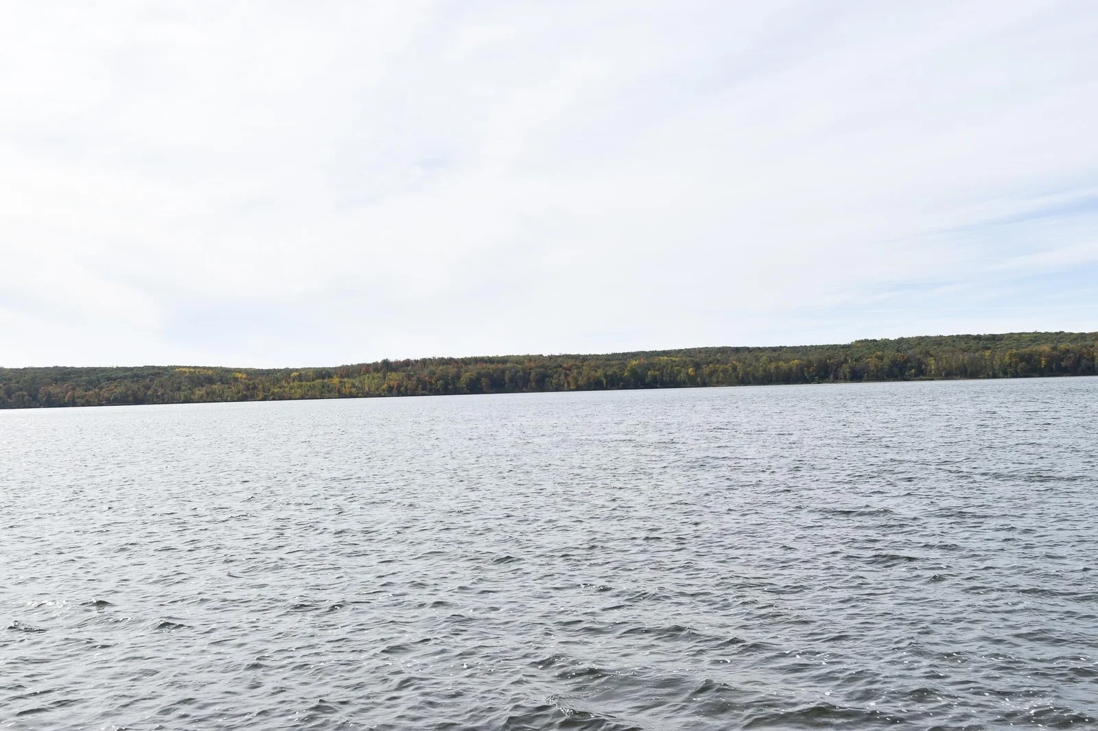 DSC_0285.jpg