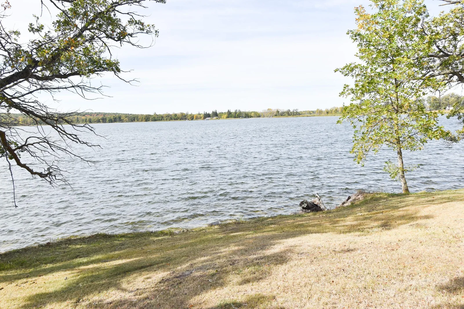 DSC_0282.jpg