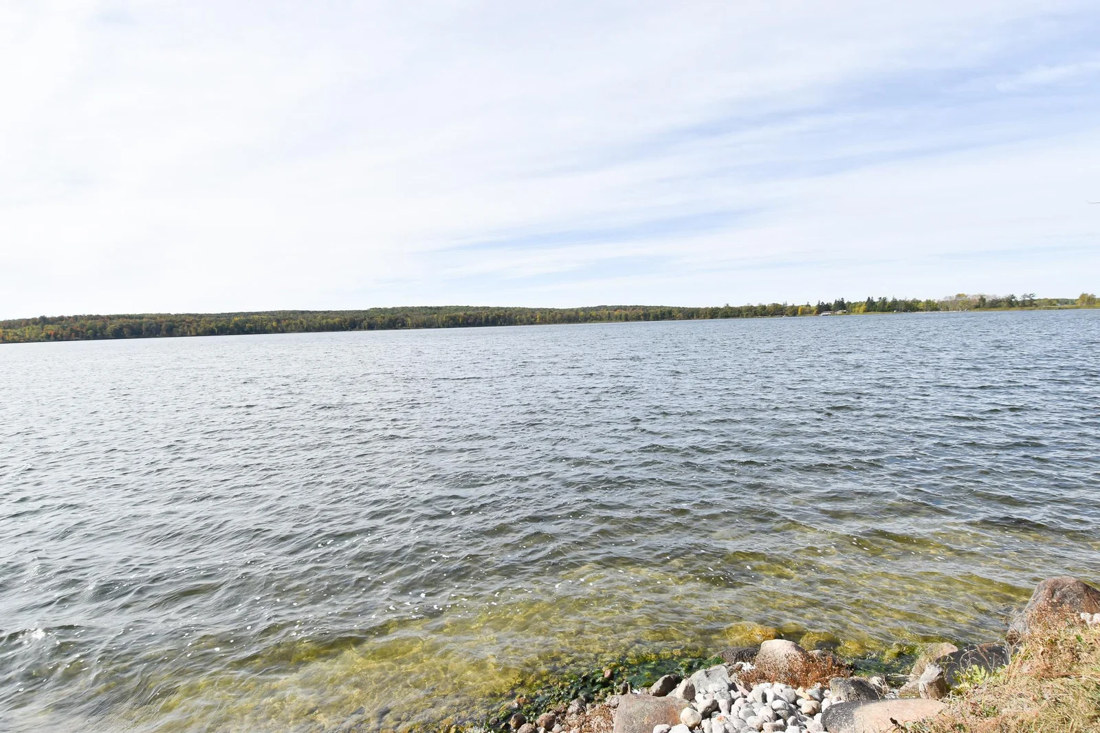 DSC_0286.jpg