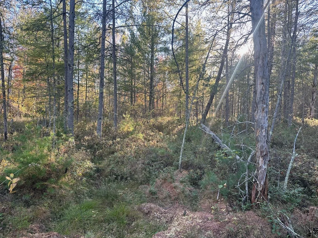 Thumbnail photo 29