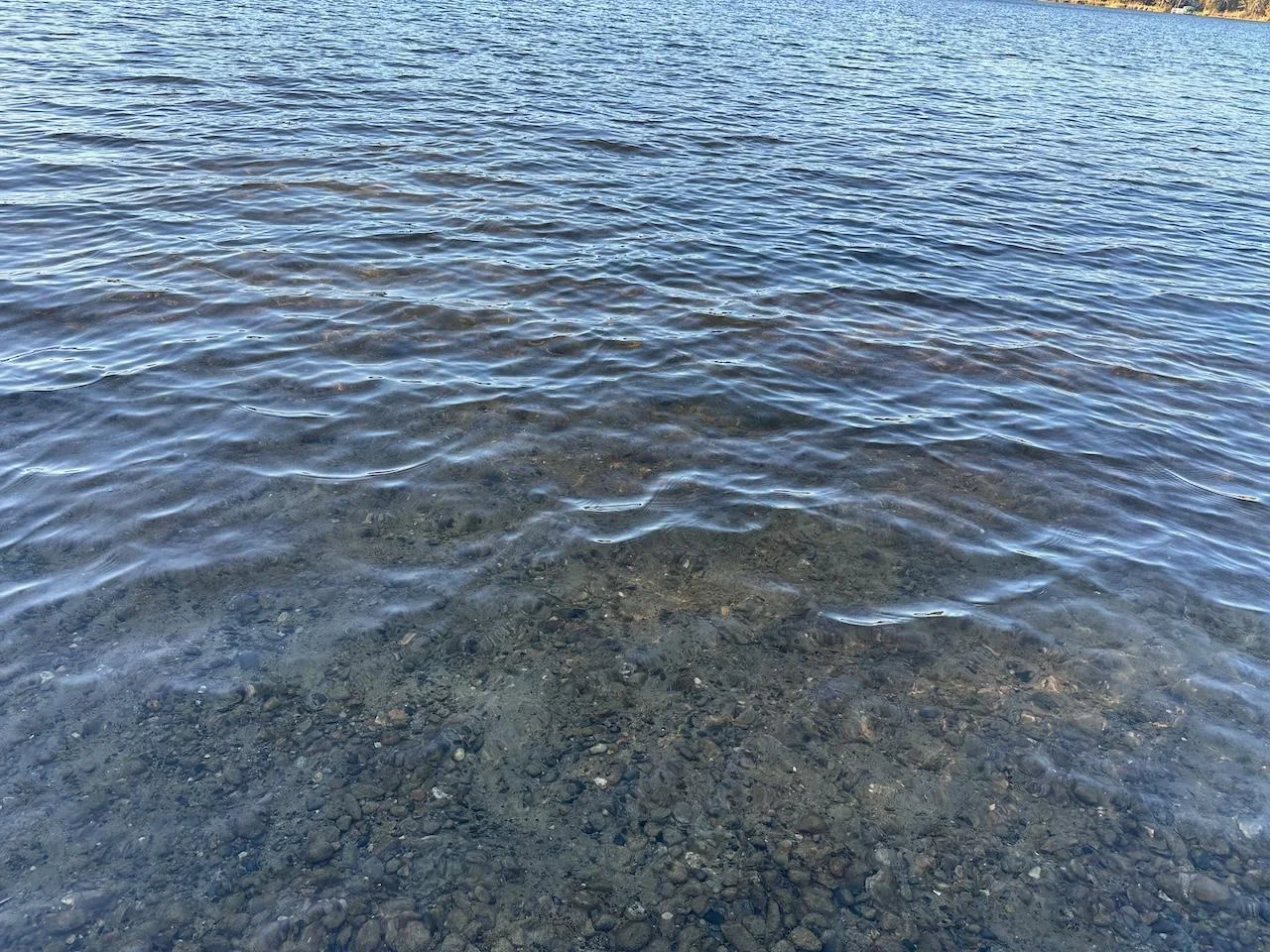 Crystal clear water and hard bottom