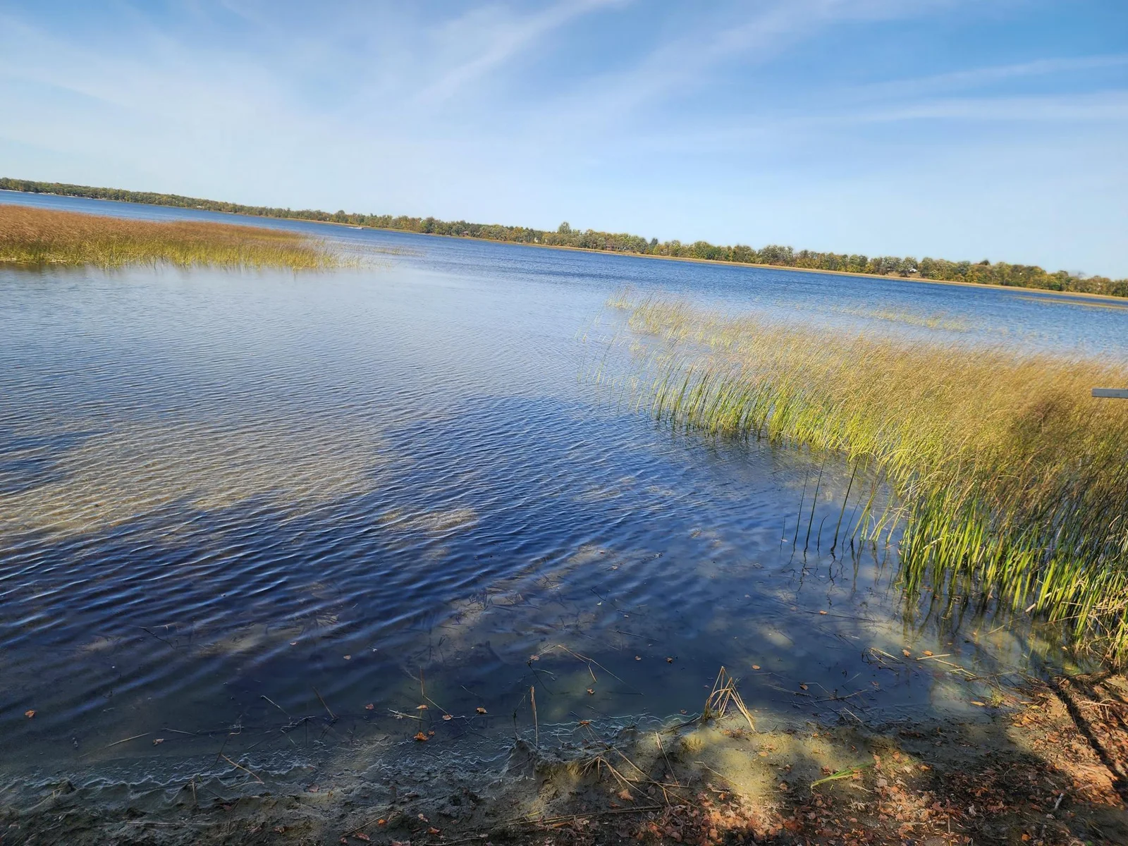 lakeview2.jpg