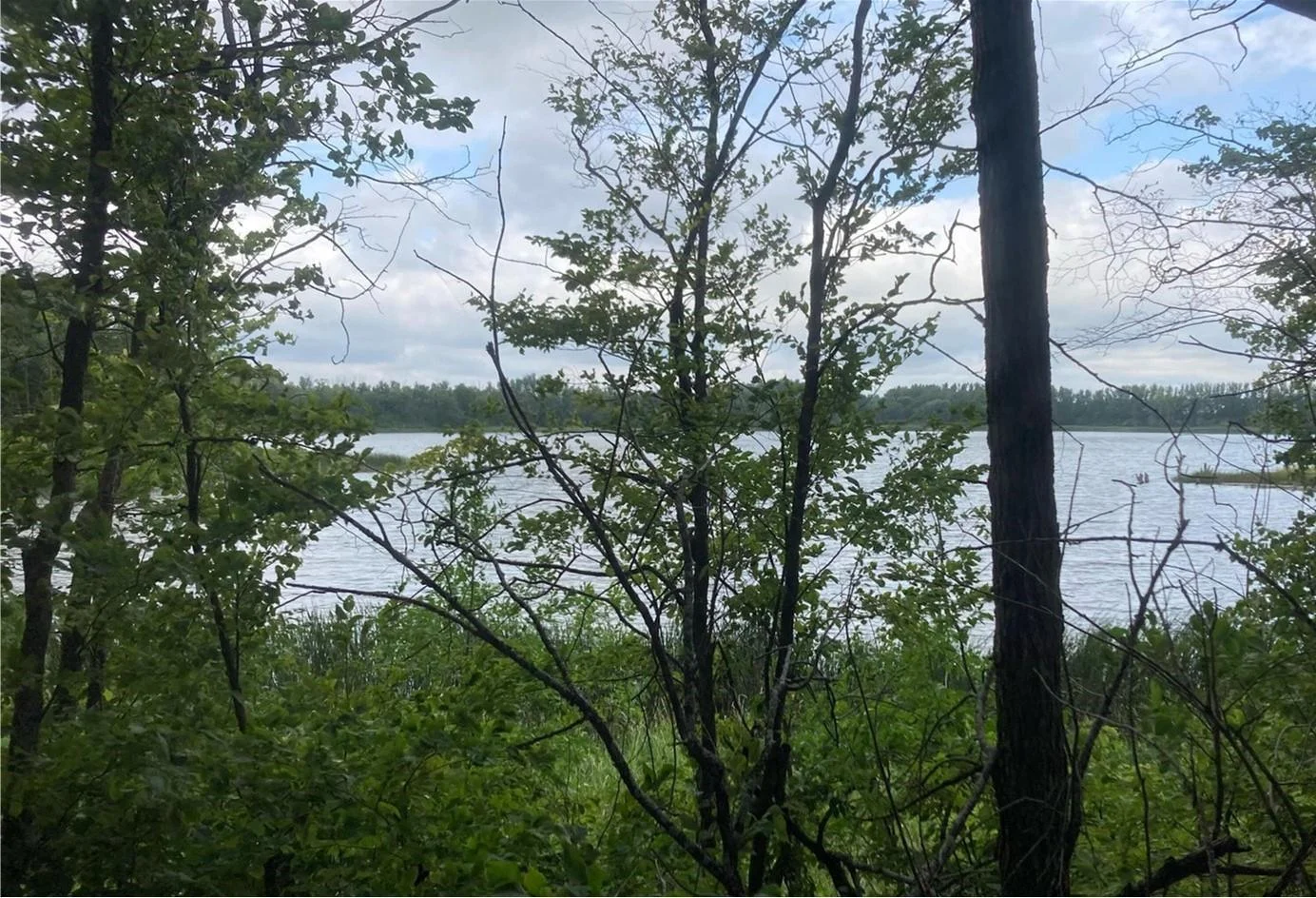 Photo 1 of Wood Lake
