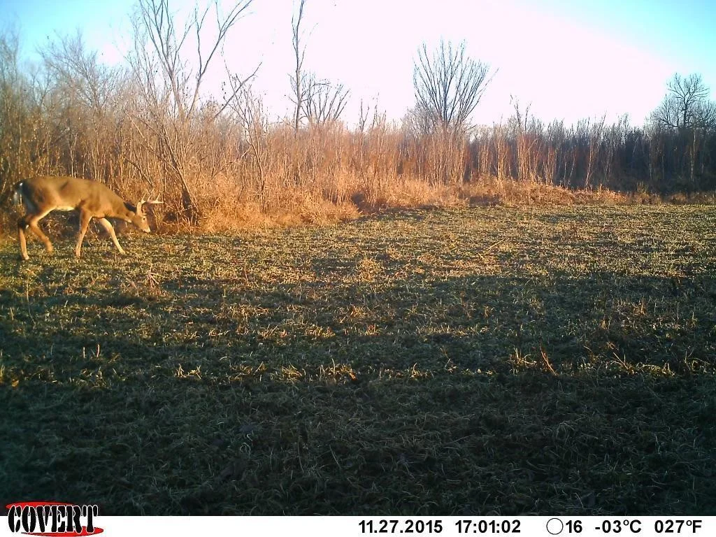 River bottom plot