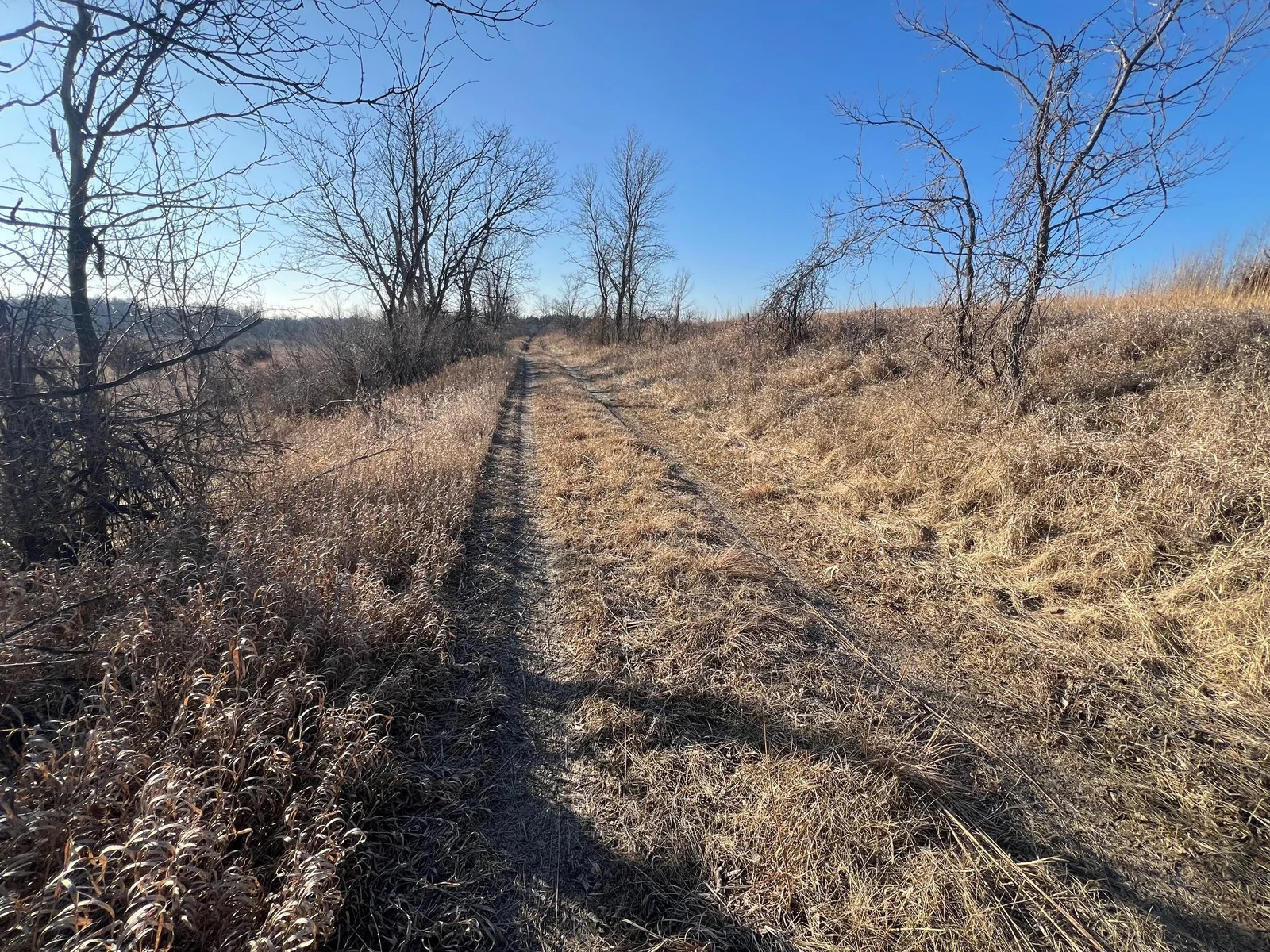 Easement Driveway