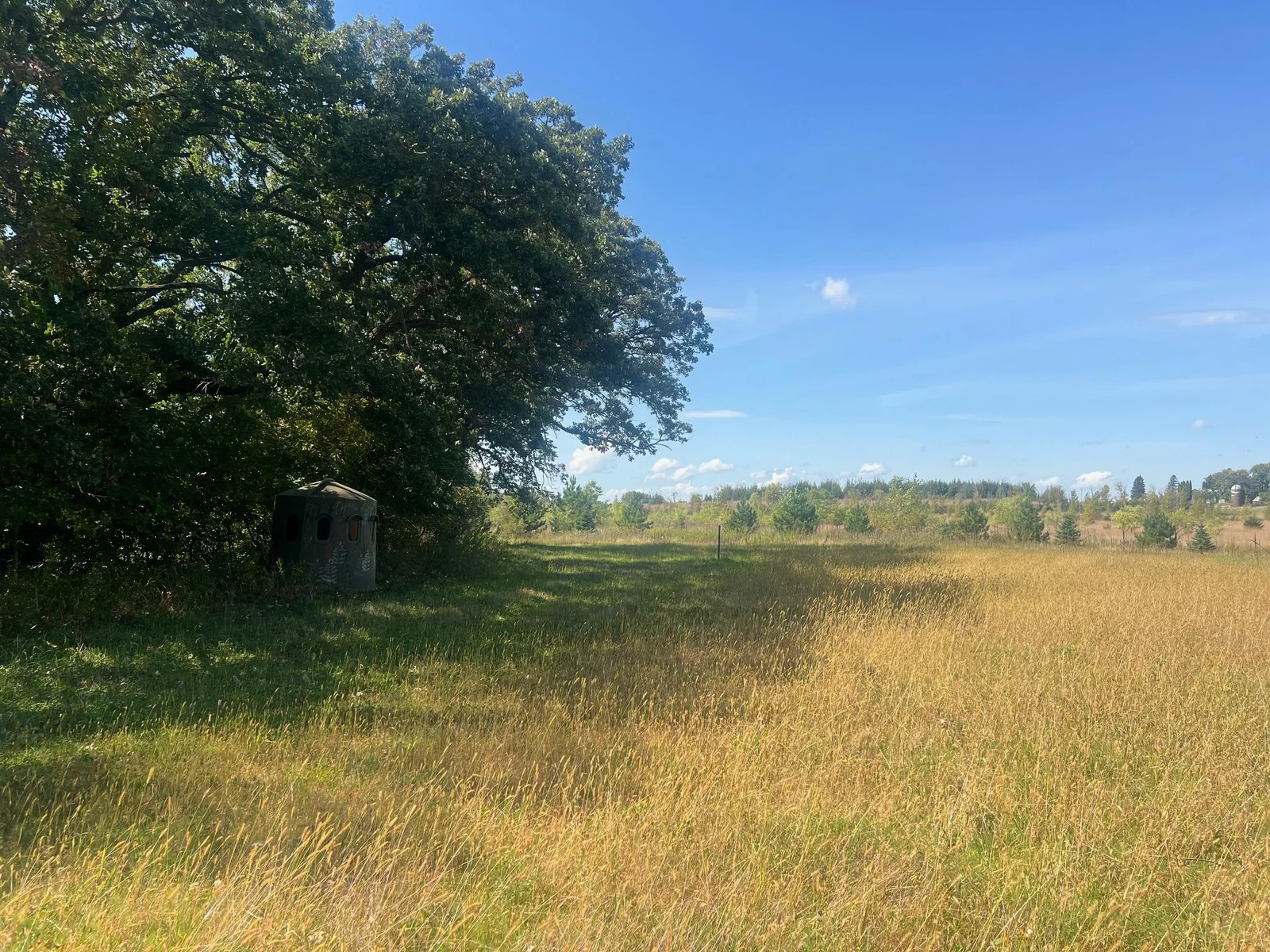 Hunting Blind overlooking the food plot