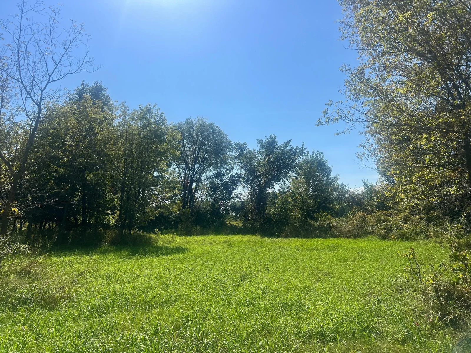 Riverside plot