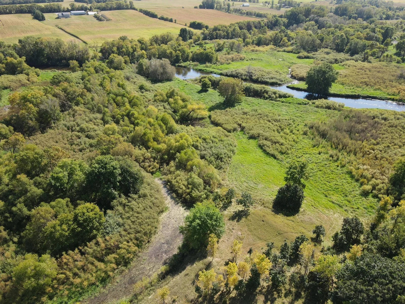 Riverside food plot