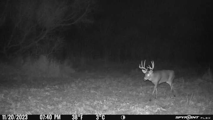 Game Camera from property