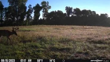 Nice Shooter!