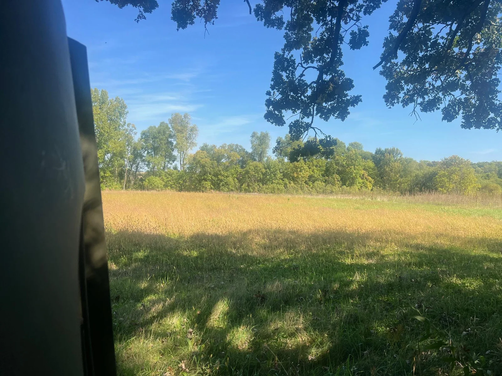 Great view from the blind